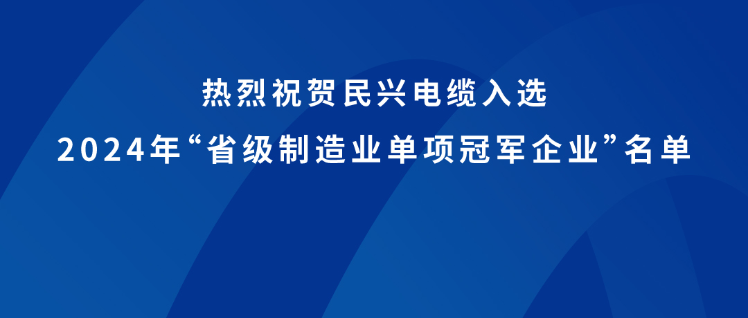 民興榮獲廣東省制造業單項冠軍！